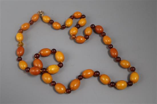 A single strand graduated oval amber bead necklace, with circular bead spacers, gross weight 38 grams, 68cm,